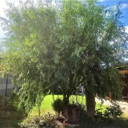 Le Pavillon Alsacien - Grande Maison - Spacieuse & Moderne - Route Des Vins *