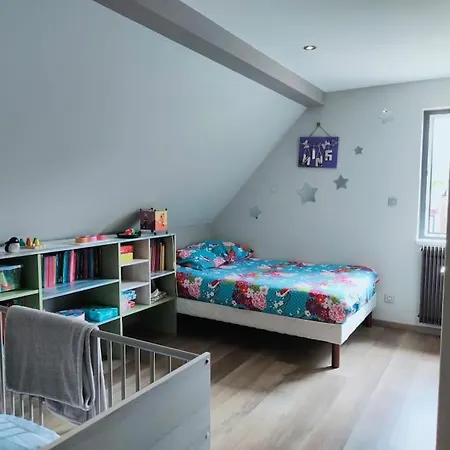 Le Pavillon Alsacien - Grande Maison - Spacieuse & Moderne - Route Des Vins * Rossfeld