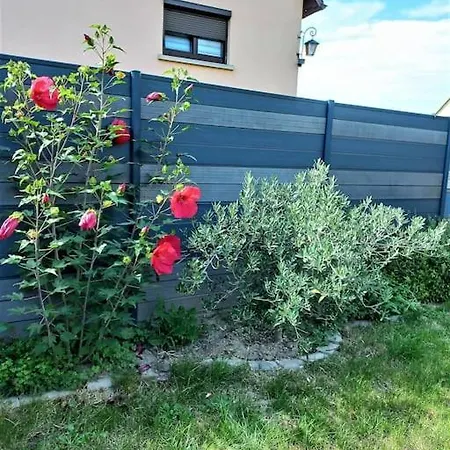 Le Pavillon Alsacien Holiday home Rossfeld