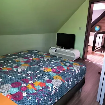 Le Pavillon Alsacien Holiday home *