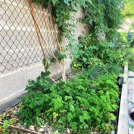 Le Pavillon Alsacien - Grande Maison - Spacieuse & Moderne - Route Des Vins * Rossfeld