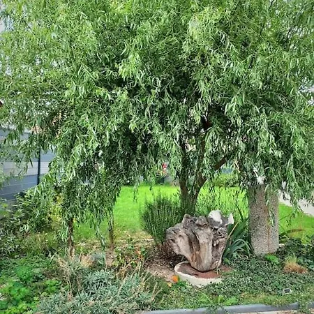 Le Pavillon Alsacien - Grande Maison - Spacieuse & Moderne - Route Des Vins Rossfeld