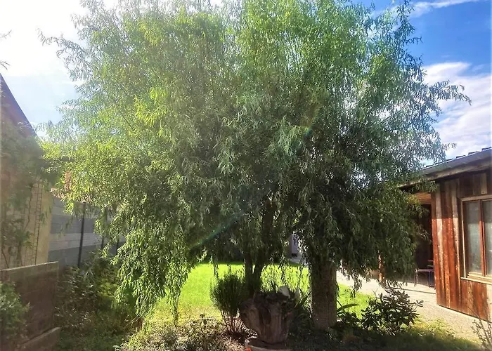 Le Pavillon Alsacien - Grande Maison - Spacieuse & Moderne - Route Des Vins *