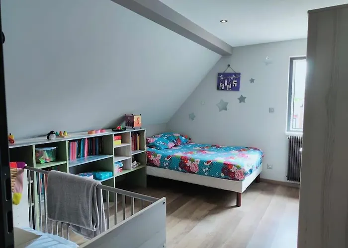 Le Pavillon Alsacien - Grande Maison - Spacieuse & Moderne - Route Des Vins * Rossfeld