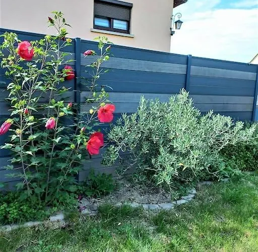 Le Pavillon Alsacien - Grande Maison - Spacieuse & Moderne - Route Des Vins Semesterbostad Rossfeld