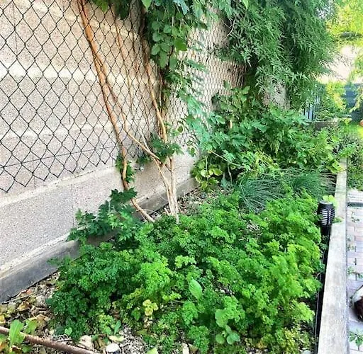Le Pavillon Alsacien - Grande Maison - Spacieuse & Moderne - Route Des Vins * Rossfeld