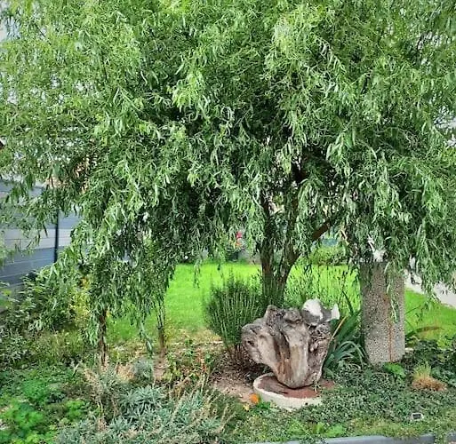 Le Pavillon Alsacien - Grande Maison - Spacieuse & Moderne - Route Des Vins Rossfeld